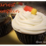 Harvest Pumpkin Cupcakes