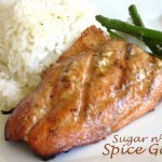 Teriyaki Grilled Salmon