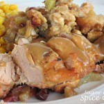 Slow Cooker Turkey and Stuffing