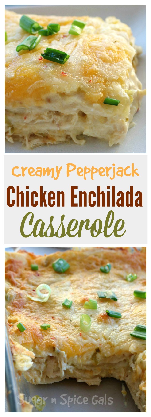 Creamy Pepper Jack Chicken Enchiladas - Sugar n' Spice Gals